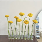 Glass Tube Hydroponic Vase